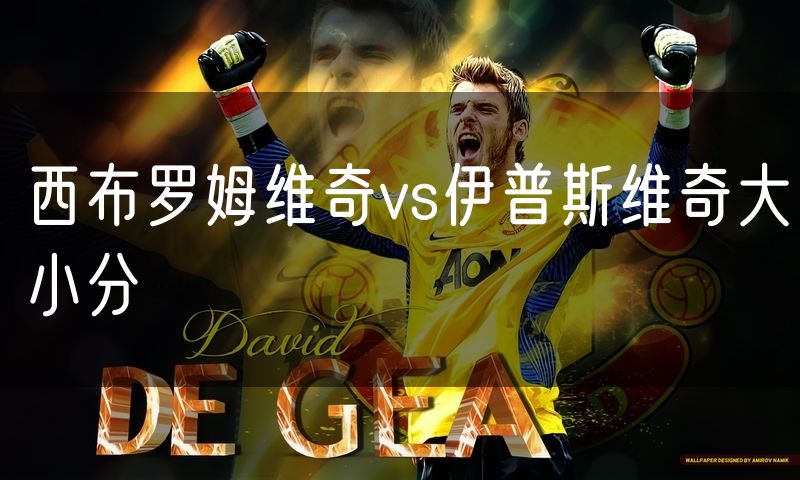 西布罗姆维奇vs伊普斯维奇大小分 西布罗姆维奇vs伊普斯维奇大小分