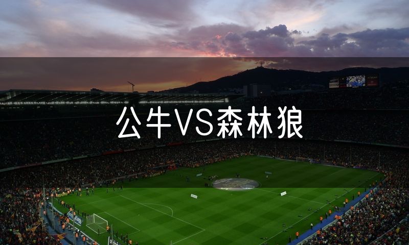 公牛VS森林狼 公牛VS森林狼