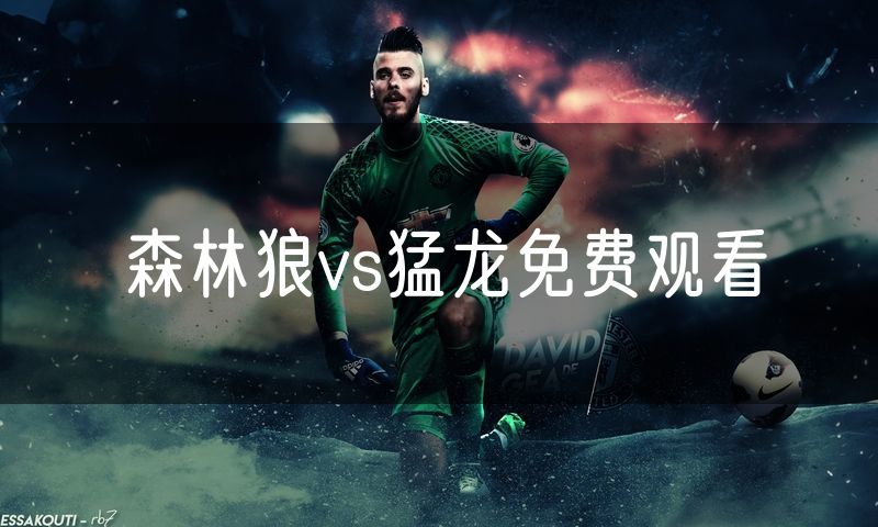 森林狼vs猛龙免费观看