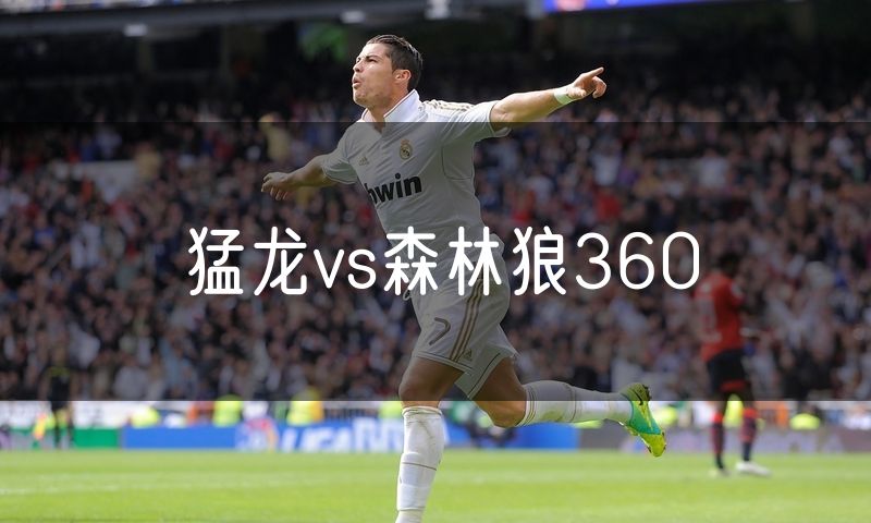 猛龙vs森林狼360