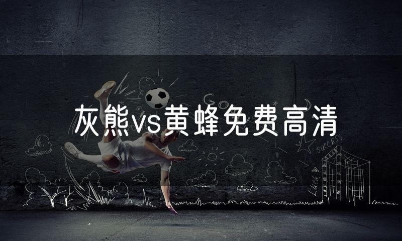 灰熊vs黄蜂免费高清