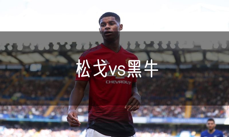 松戈vs黑牛