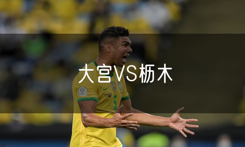 大宫VS枥木