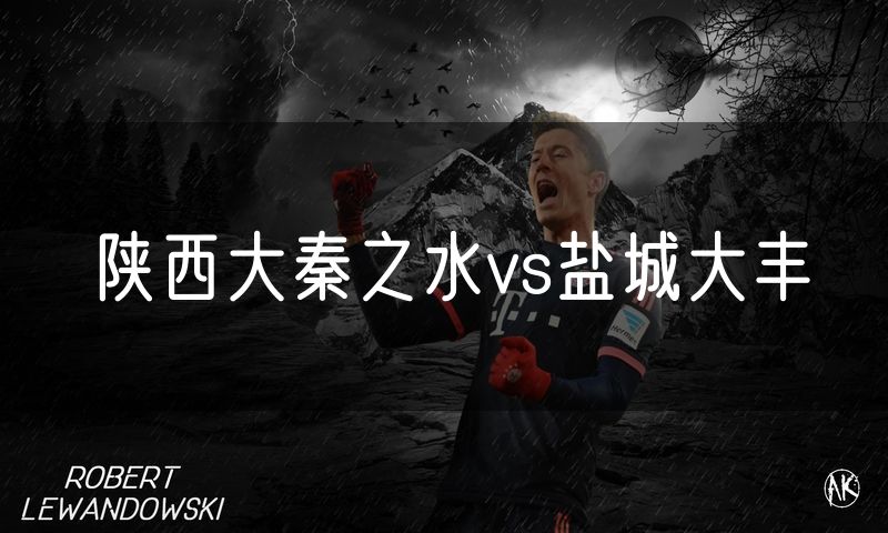 陕西大秦之水vs盐城大丰