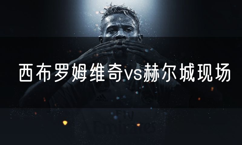 西布罗姆维奇vs赫尔城现场 西布罗姆维奇vs赫尔城现场