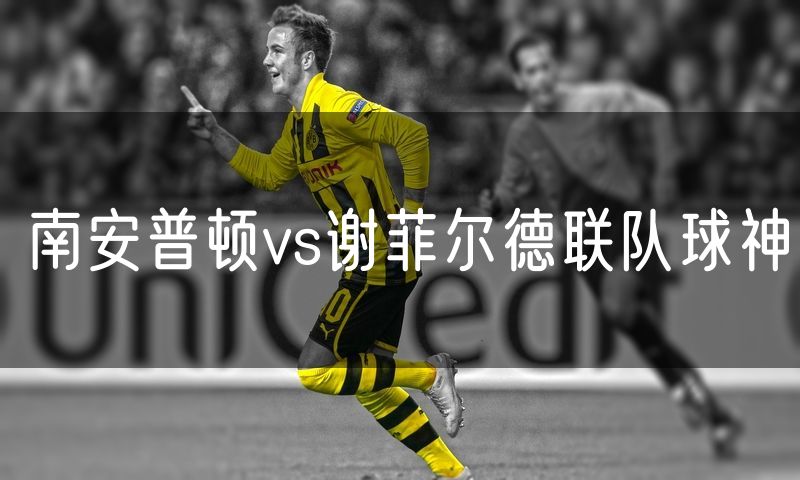 南安普顿vs谢菲尔德联队球神