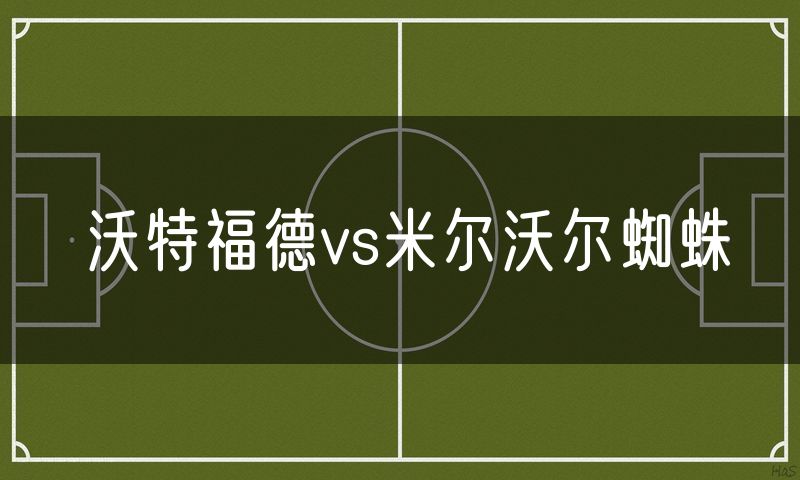 沃特福德vs米尔沃尔蜘蛛