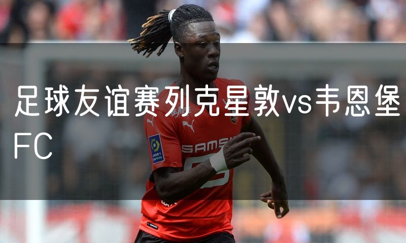 足球友谊赛列克星敦vs韦恩堡FC
