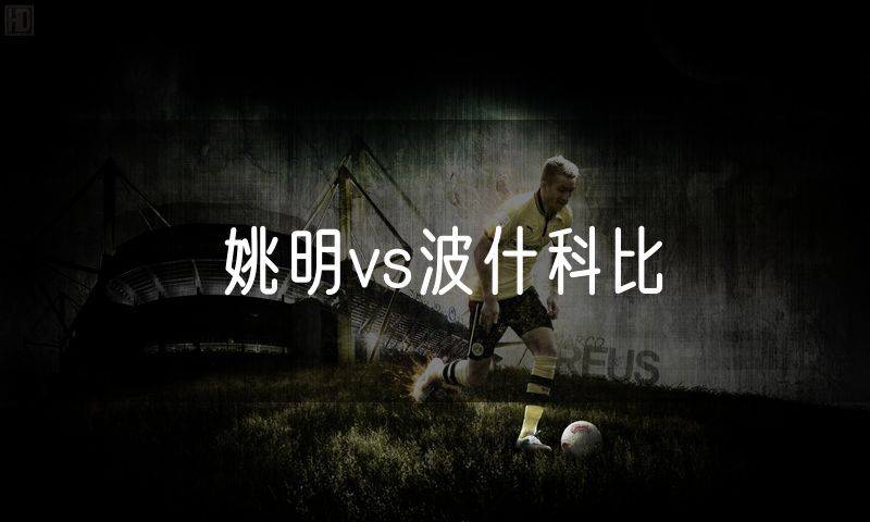 姚明vs波什科比