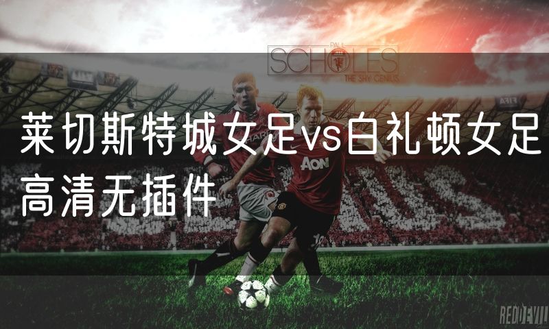 莱切斯特城女足vs白礼顿女足高清无插件