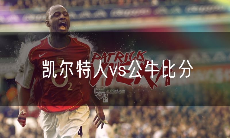 凯尔特人vs公牛比分