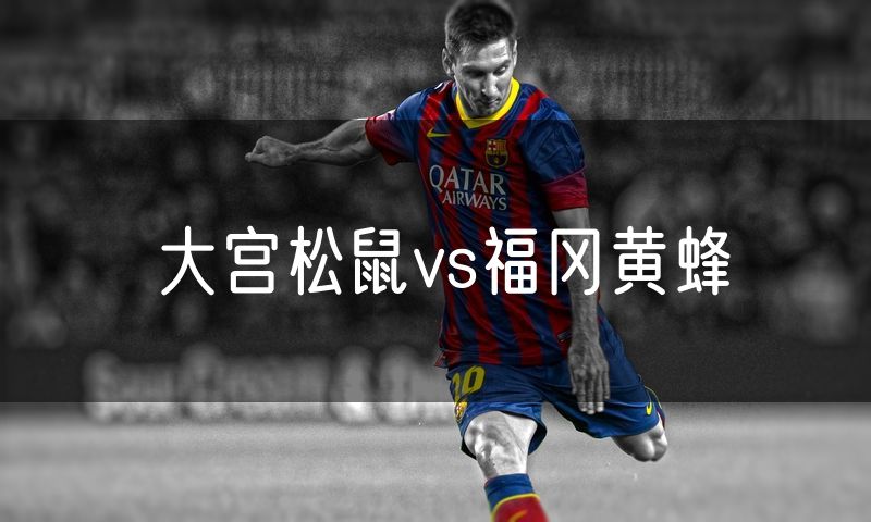 大宫松鼠vs福冈黄蜂 大宫松鼠vs福冈黄蜂
