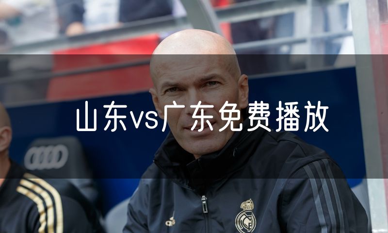 山东vs广东免费播放