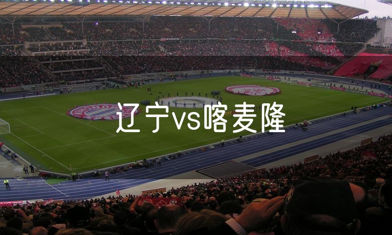辽宁vs喀麦隆