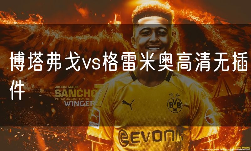 博塔弗戈vs格雷米奥高清无插件