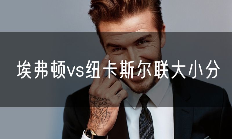 埃弗顿vs纽卡斯尔联大小分 埃弗顿vs纽卡斯尔联大小分
