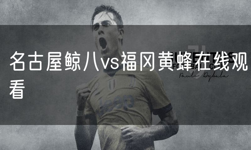 名古屋鲸八vs福冈黄蜂在线观看