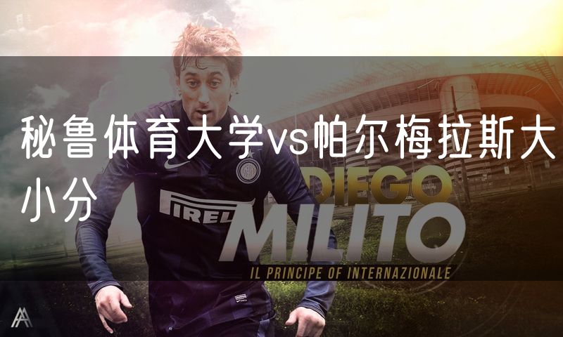 秘鲁体育大学vs帕尔梅拉斯大小分