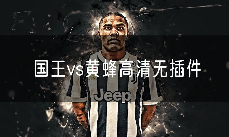 国王vs黄蜂高清无插件