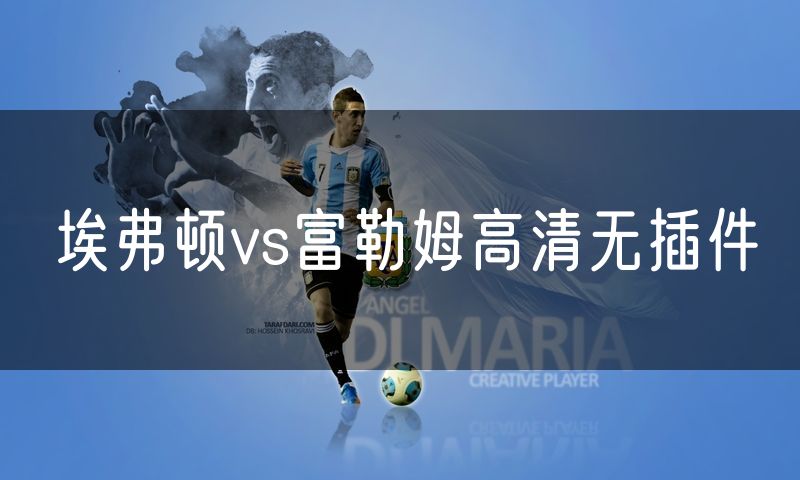 埃弗顿vs富勒姆高清无插件 埃弗顿vs富勒姆高清无插件