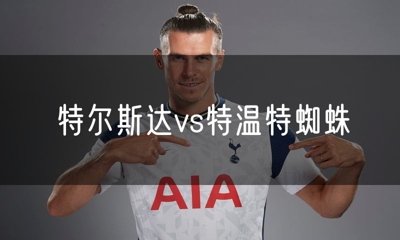 特尔斯达vs特温特蜘蛛