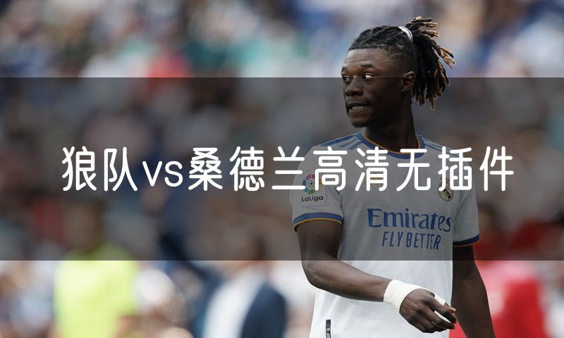 狼队vs桑德兰高清无插件 狼队vs桑德兰高清无插件