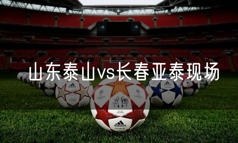 山东泰山vs长春亚泰现场