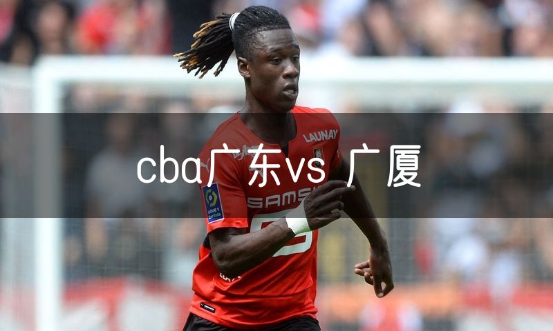 cba广东vs 广厦