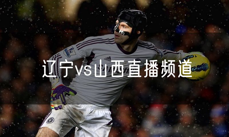 辽宁vs山西直播频道