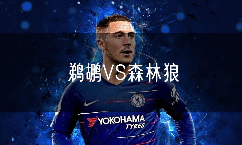 鹈鹕VS森林狼 鹈鹕VS森林狼