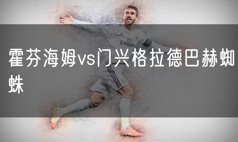 霍芬海姆vs门兴格拉德巴赫蜘蛛