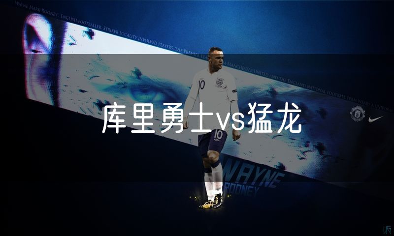 库里勇士vs猛龙