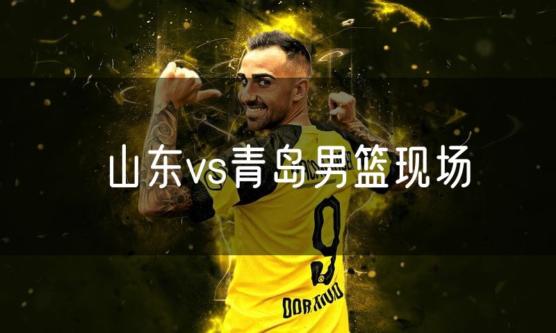 山东vs青岛男篮现场