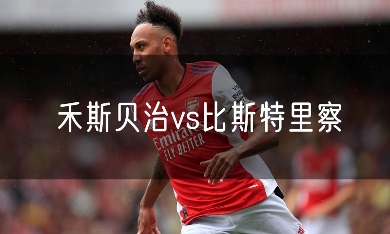 禾斯贝治vs比斯特里察