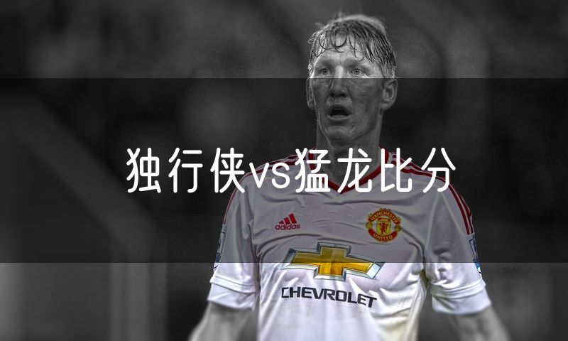 独行侠vs猛龙比分