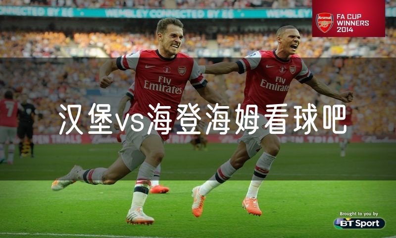 汉堡vs海登海姆看球吧