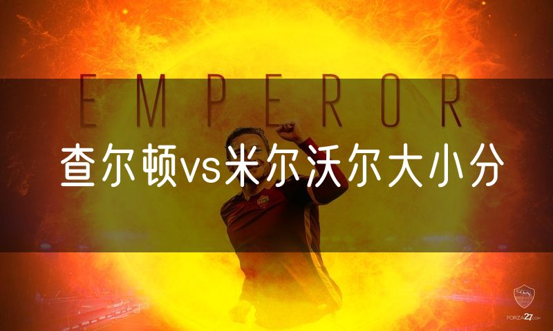 查尔顿vs米尔沃尔大小分
