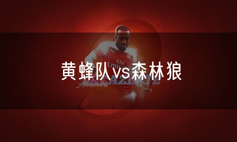 黄蜂队vs森林狼