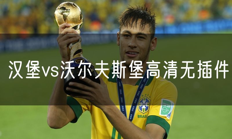 汉堡vs沃尔夫斯堡高清无插件