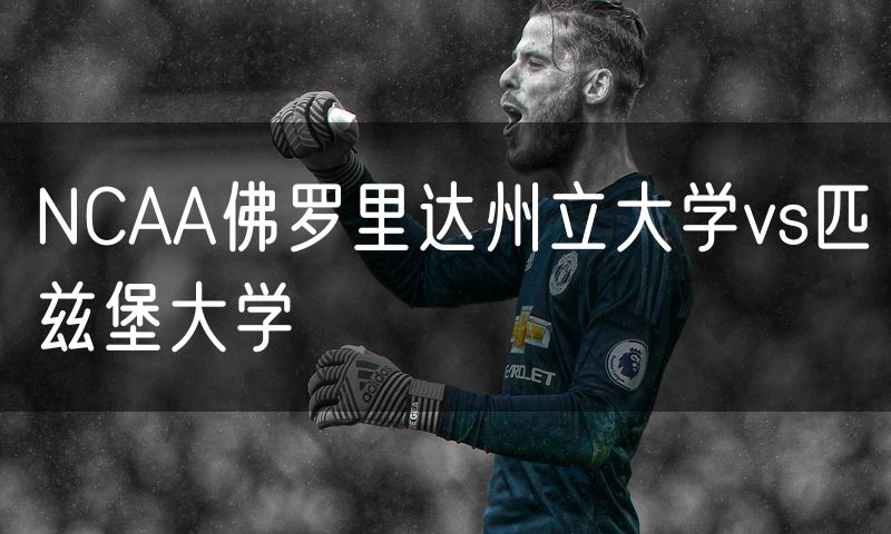 NCAA佛罗里达州立大学vs匹兹堡大学