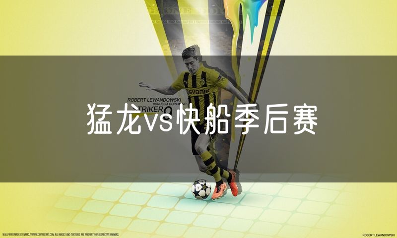 猛龙vs快船季后赛