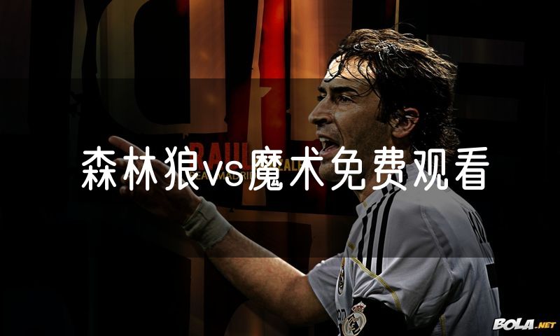 森林狼vs魔术免费观看