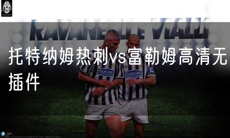 托特纳姆热刺vs富勒姆高清无插件