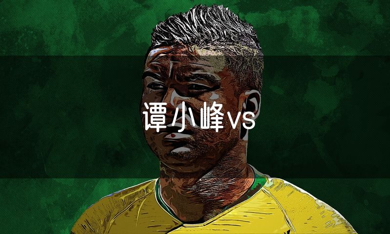 谭小峰vs