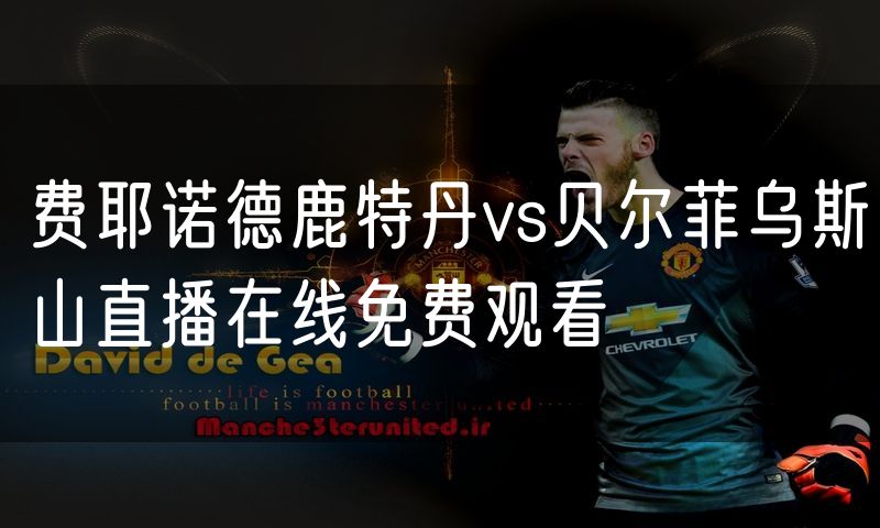 费耶诺德鹿特丹vs贝尔菲乌斯山直播在线免费观看 费耶诺德鹿特丹vs贝尔菲乌斯山直播在线免费观看