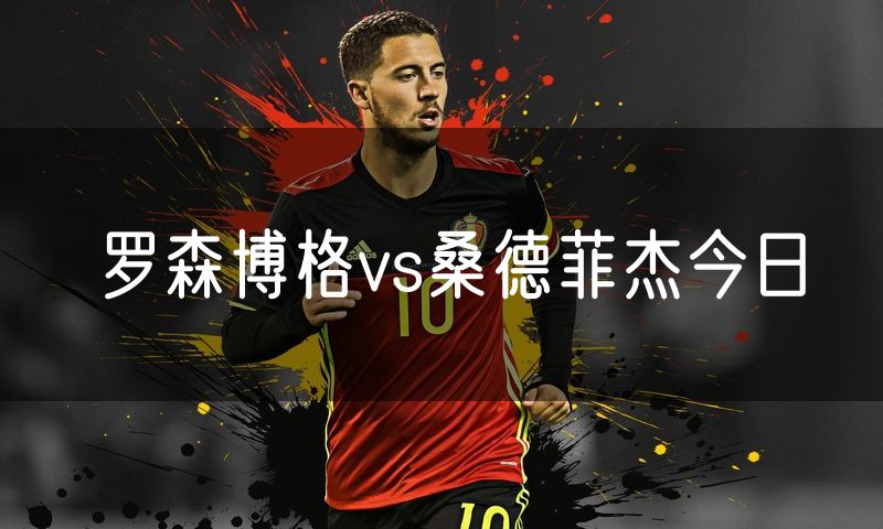 罗森博格vs桑德菲杰今日