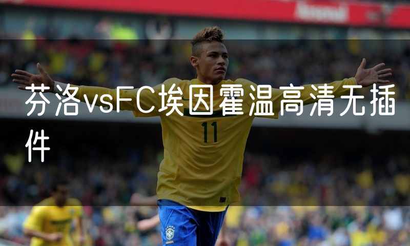 芬洛vsFC埃因霍温高清无插件