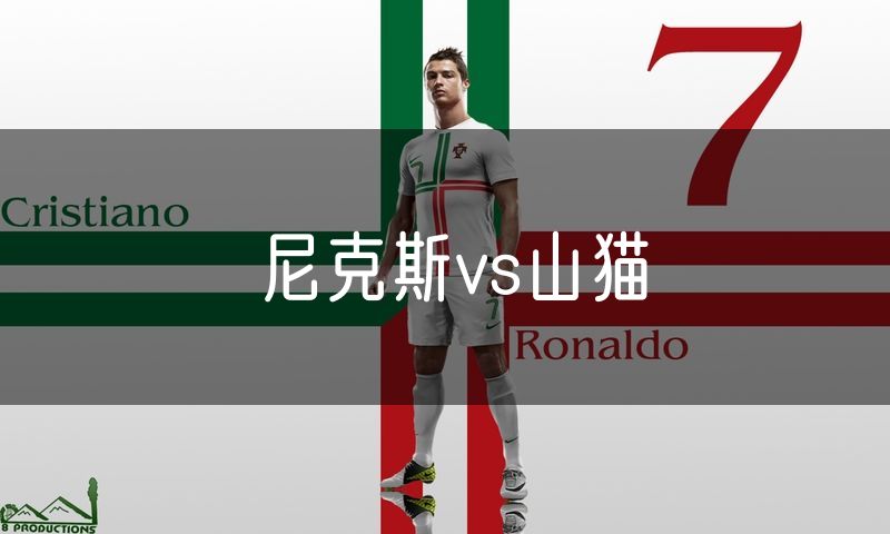 尼克斯vs山猫