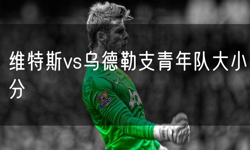 维特斯vs乌德勒支青年队大小分