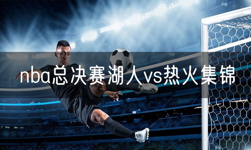 nba总决赛湖人vs热火集锦